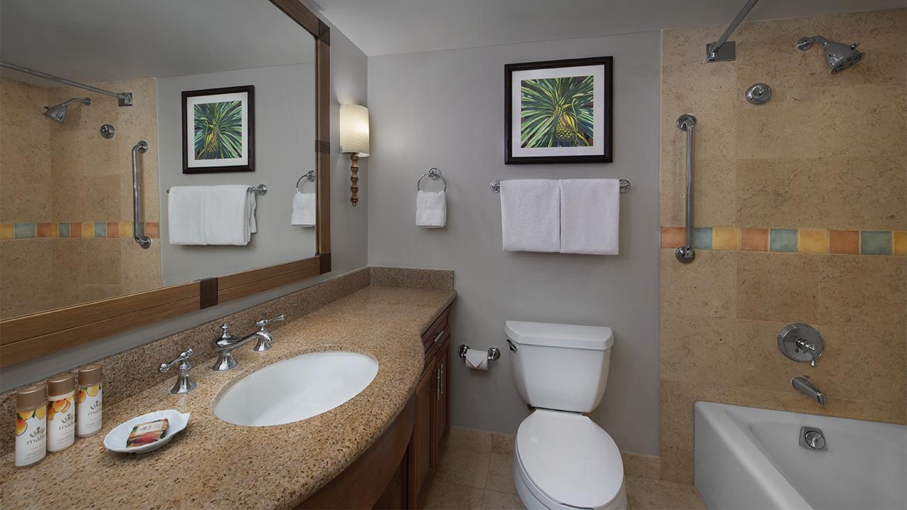 Bathroom (Guestroom)